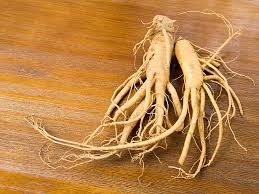 ginseng